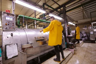 Garment wash