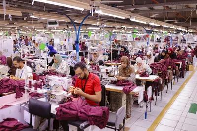 Sewing lines