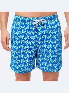 Tom & Teddy Blue Turtles